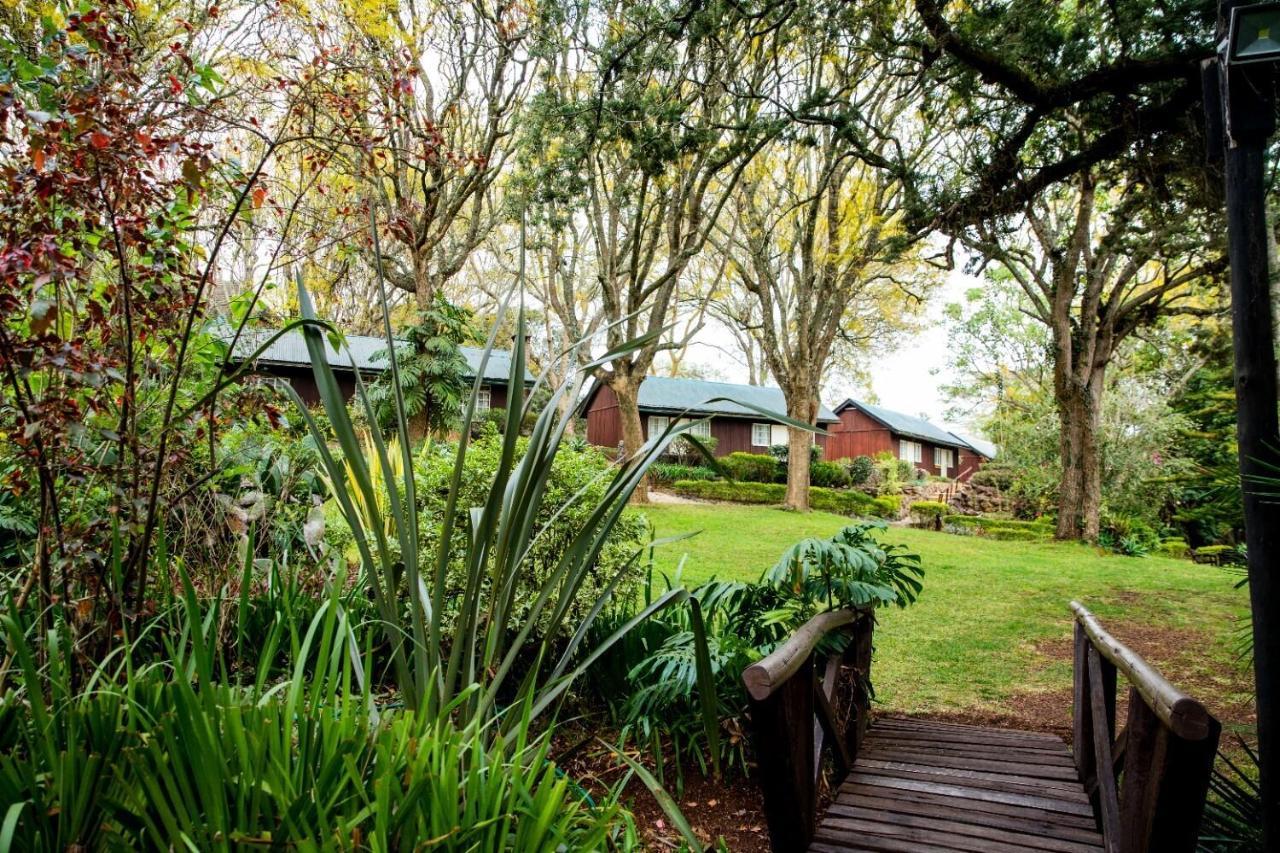 Naro Moru River Lodge Kültér fotó