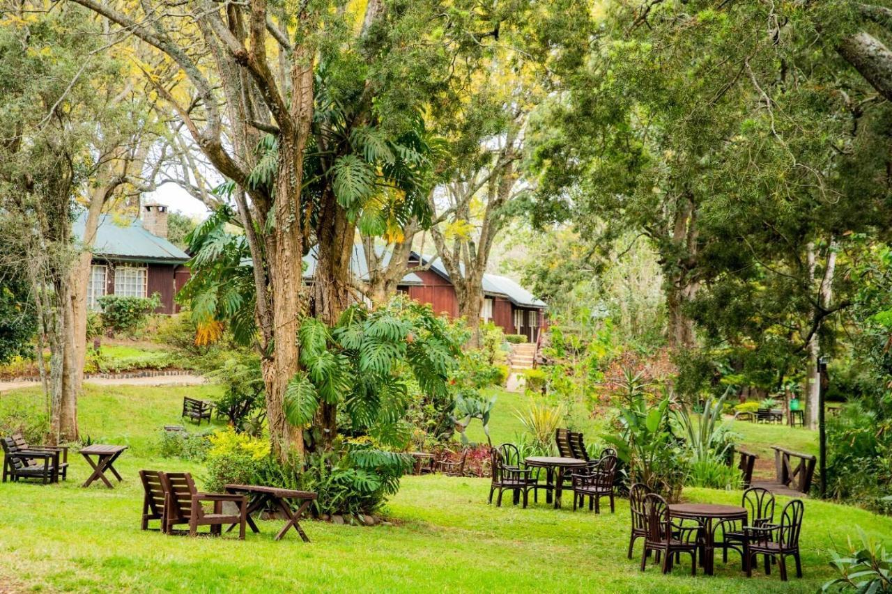 Naro Moru River Lodge Kültér fotó