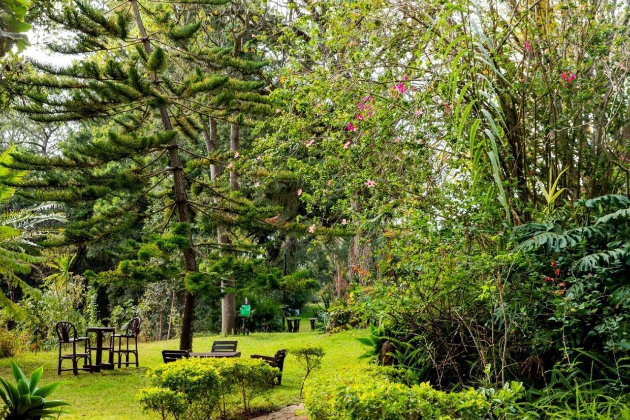 Naro Moru River Lodge Kültér fotó