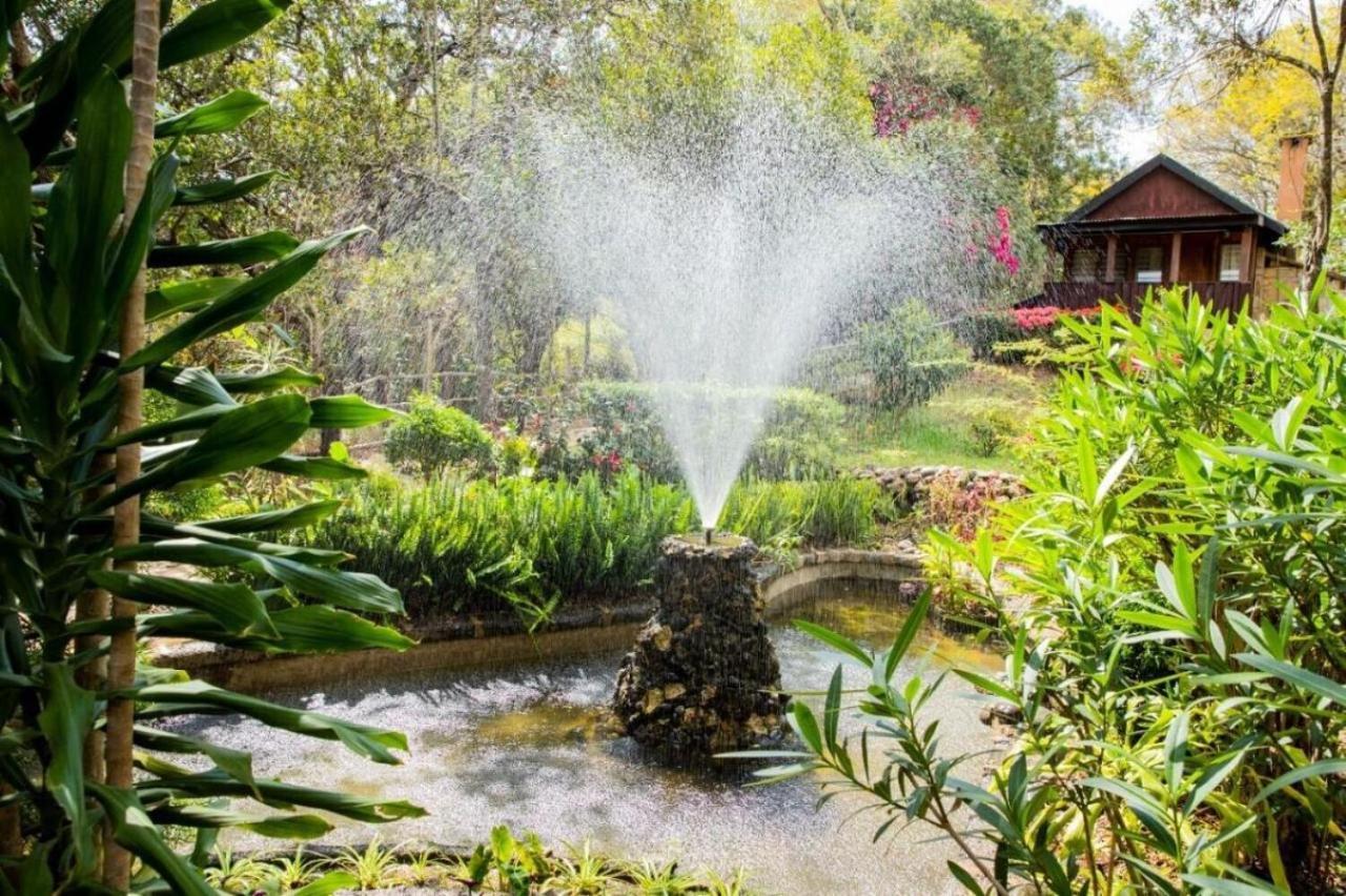 Naro Moru River Lodge Kültér fotó
