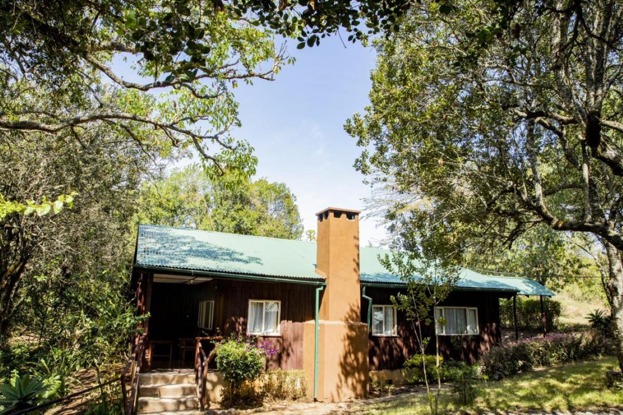 Naro Moru River Lodge Kültér fotó