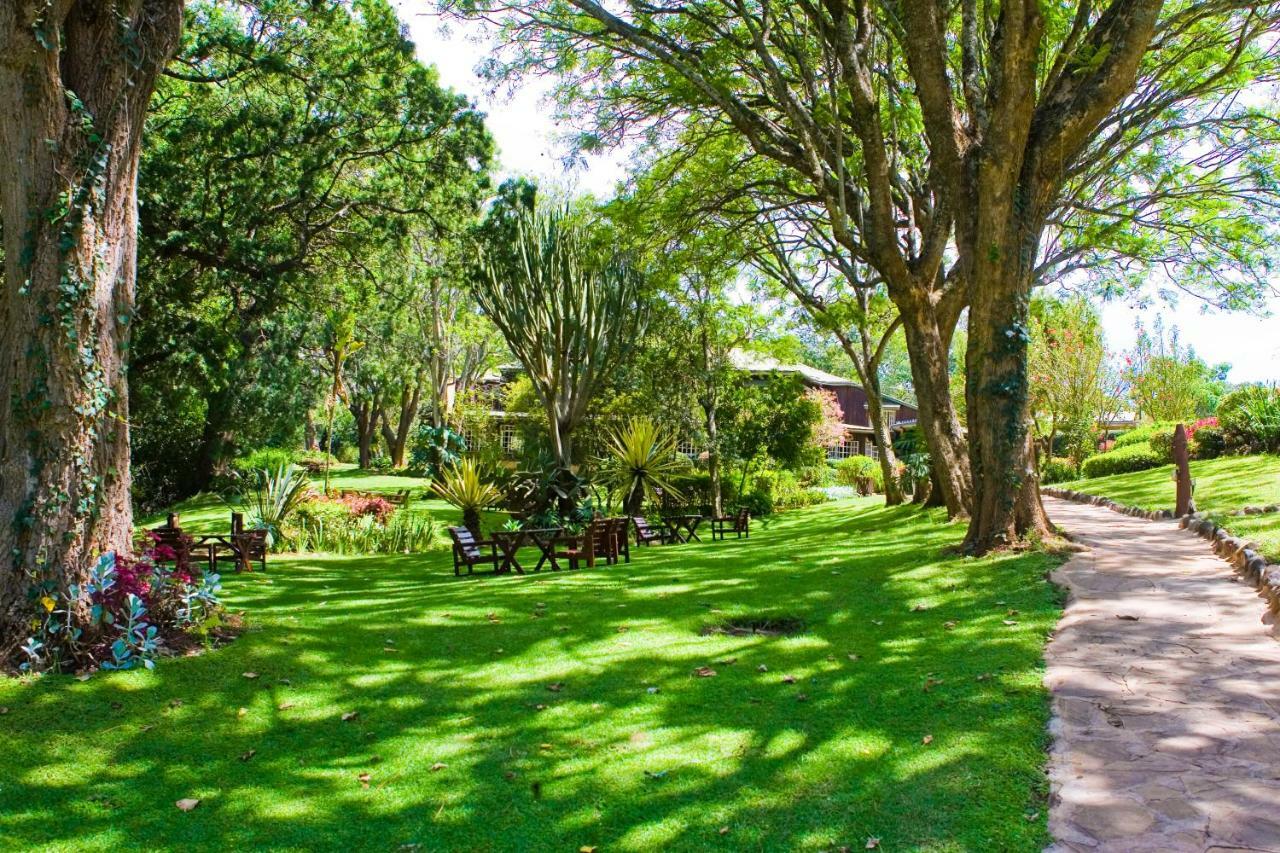 Naro Moru River Lodge Kültér fotó